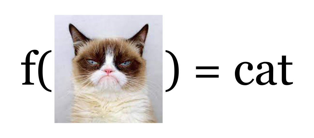 f(grumpy cat) = cat